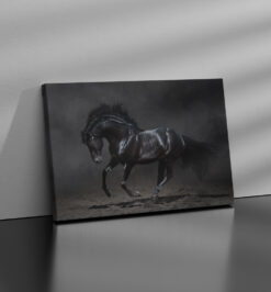 Quadro decorativo animais cavalo retangular cod r026 (cópia)