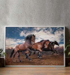 Quadro decorativo animais cavalo retangular cod r027 (cópia)