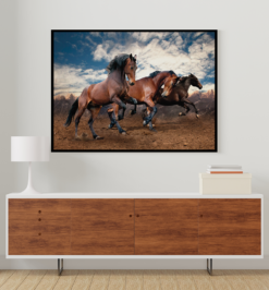 Quadro decorativo animais cavalo retangular cod r027 (cópia)
