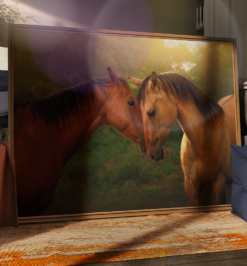 Quadro decorativo animais cavalo retangular cod r028 (cópia)