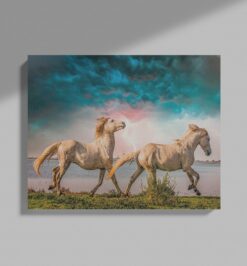 Quadro decorativo animais cavalo retangular cod r030 (cópia)