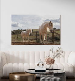 Quadro decorativo animais cavalo retangular cod r034 (cópia)