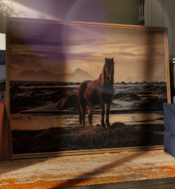 Quadro decorativo animais cavalo retangular cod r035 (cópia)