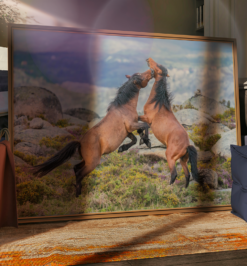 Quadro decorativo animais cavalo retangular cod r036 (cópia)