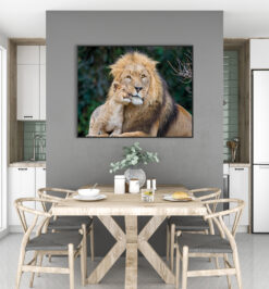Quadro decorativo animais leão retangular cod r044 (cópia)