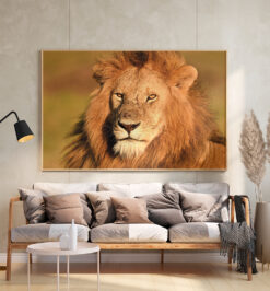 Quadro decorativo animais leão retangular cod r046 (cópia)