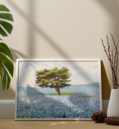 Quadro decorativo montanha e praia retangular cod r418