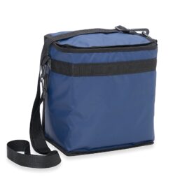 Bolsa termica litros jpg