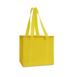Bolsa termica litros jpg