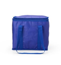 Bolsa termica litros jpg