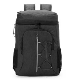 Bolsa termica litros cinza jpg