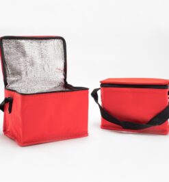 Bolsa termica litros jpg