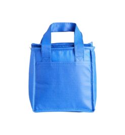 Bolsa termica litros azul jpg