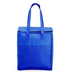 Bolsa tÉrmica personalizÁvel 9 litros