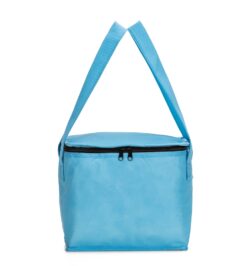 Bolsa tÉrmica 8,5 litros em tnt personalizÁvel