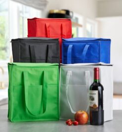 Bolsa tÉrmica personalizÁvel 9 litros